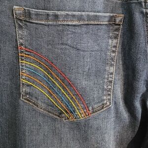 Lane Bryant Flex Waistband High Rise Straight Ankle Jean Rainbow Stiching 20